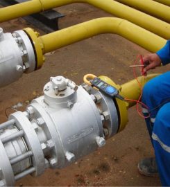 Radnitz Integrated Services Ltd.