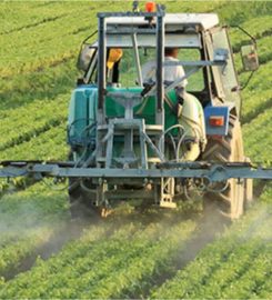 Double Rose Global Resources