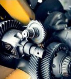 Double Rose Global Resources