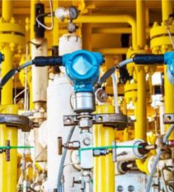 Double Rose Global Resources