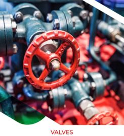 BAITE & HOOKE INVESTMENT LIMITED