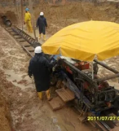 DENDION LOGISTICS SERVICES LIMITED