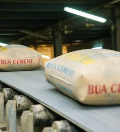  BUA Cement