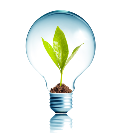 Solar World Energy & Tech Services