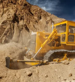 DENDION LOGISTICS SERVICES LIMITED