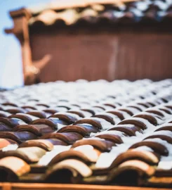 DENDION LOGISTICS SERVICES LIMITED