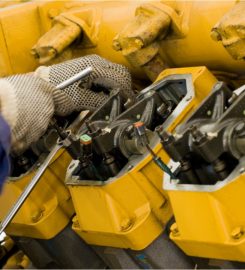 TAMAS COLLECTION LIMITED