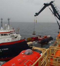 MANGROVE FIELD OIL & GAS LIMITED