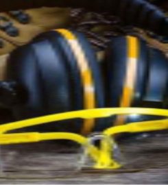 MANGROVE FIELD OIL & GAS LIMITED