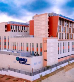 The African Medical Centre of Excellence (AMCE)